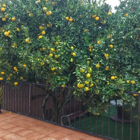 La Casa De Naranjos בית נופש וגה דה סן מטאו