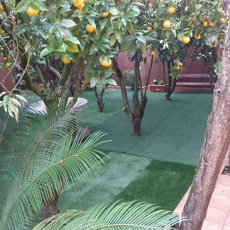 La Casa De Naranjos