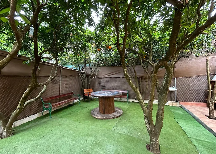 La Casa De Naranjos