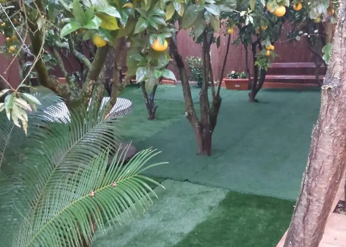 La Casa De Naranjos