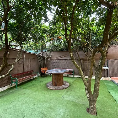 La Casa De Naranjos