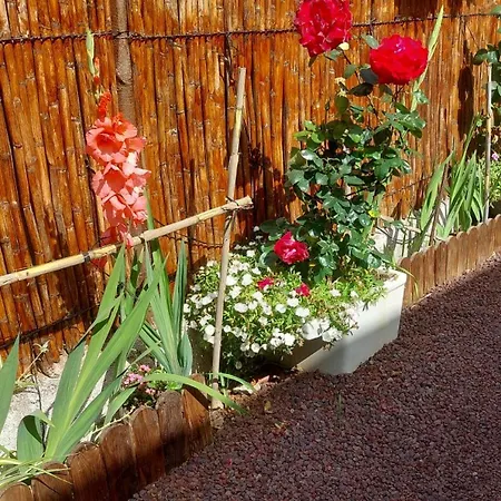 La Casa De Naranjos Vega de San Mateo