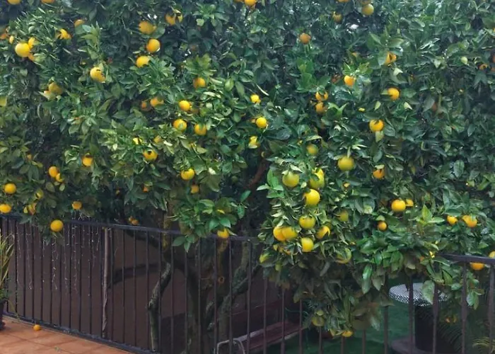 La Casa De Naranjos Nyaraló Vega de San Mateo