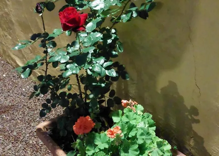 La Casa De Naranjos Nyaraló *